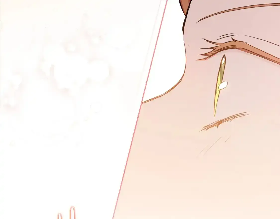 这一世我来当家主原著kimroah漫画,第131话 请支持我3图