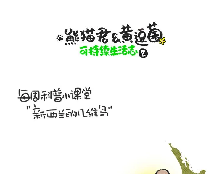 熊猫君和王稳健漫画,科普番外——新西兰的几维鸟1图