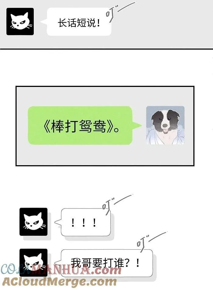 盐友全集免费看漫画,65 有好好哭过吗？3图