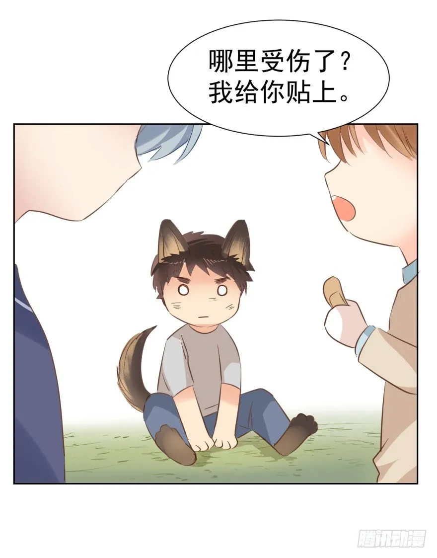 亿万奶爸小说名字漫画,汪的失落4图