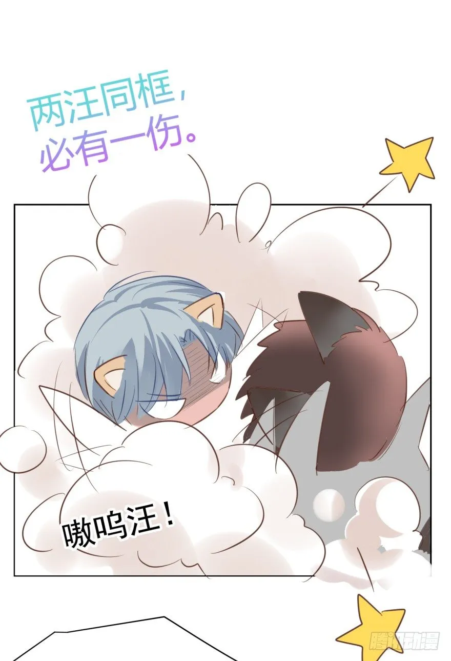 亿万奶爸小说名字漫画,汪的失落1图