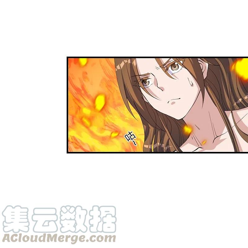 仙武帝尊漫画免费阅读下拉式漫画,第226话 双重法阵！3图