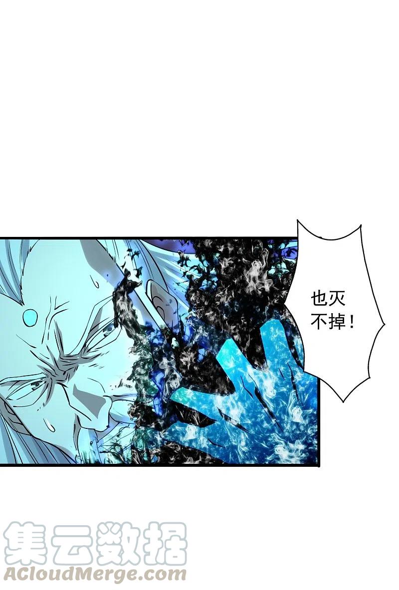仙武帝尊漫画免费阅读下拉式六漫画漫画,第231话 丹鬼！4图