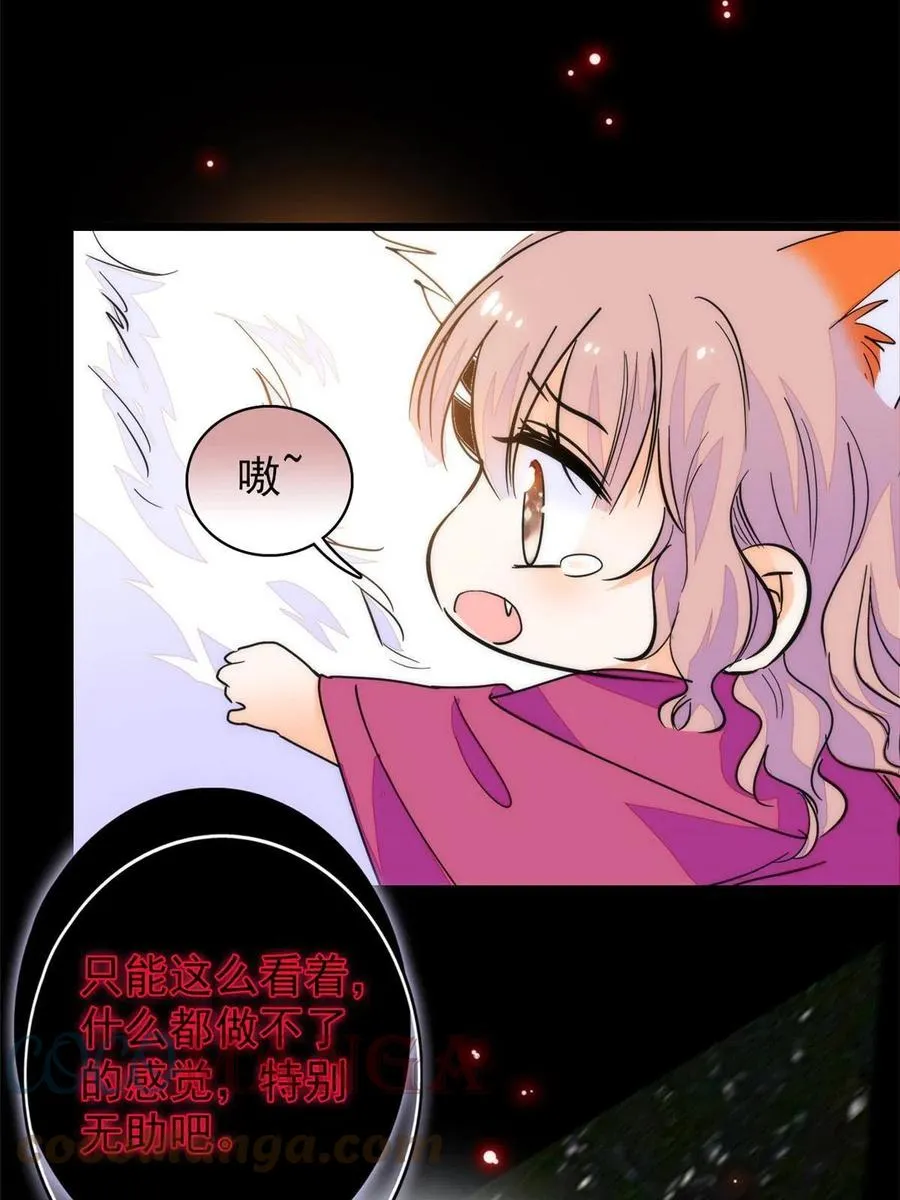 全网都是我和影帝cp粉的漫画漫画,205 蔺洲，我想见白泽……4图
