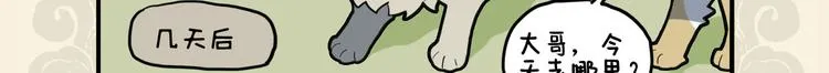 九子不成龙漫画书是讲的什么漫画,我有所念鱼 无夕不思量3图