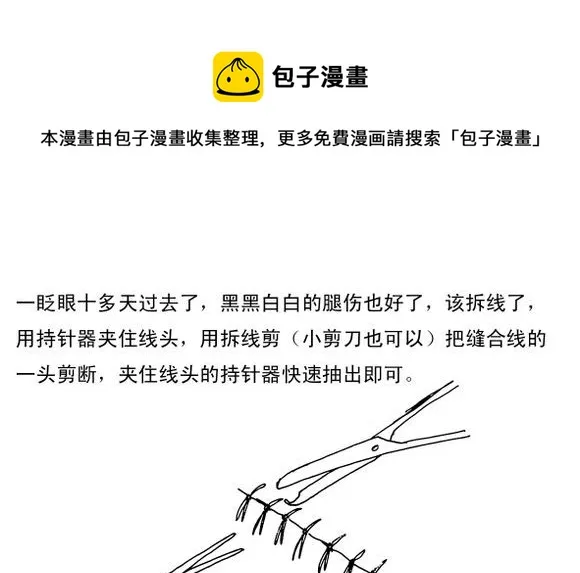 生存日记短剧全集免费观看漫画,（第三季）6地道1图