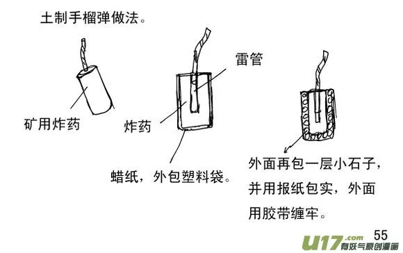 生存日记全集免费观看漫画,（第三季）5自制手雷3图