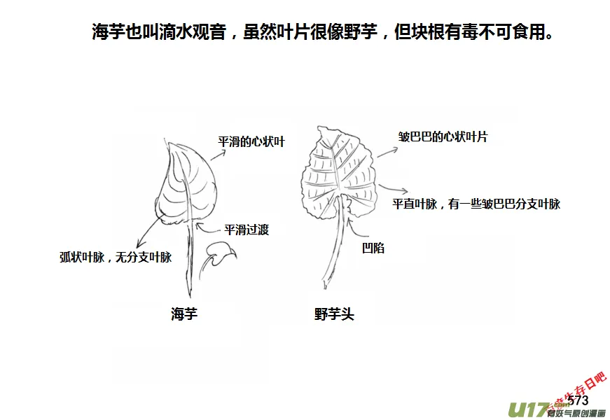 生存日记第四季合集漫画,（第十一季）32 挖野芋（下）4图