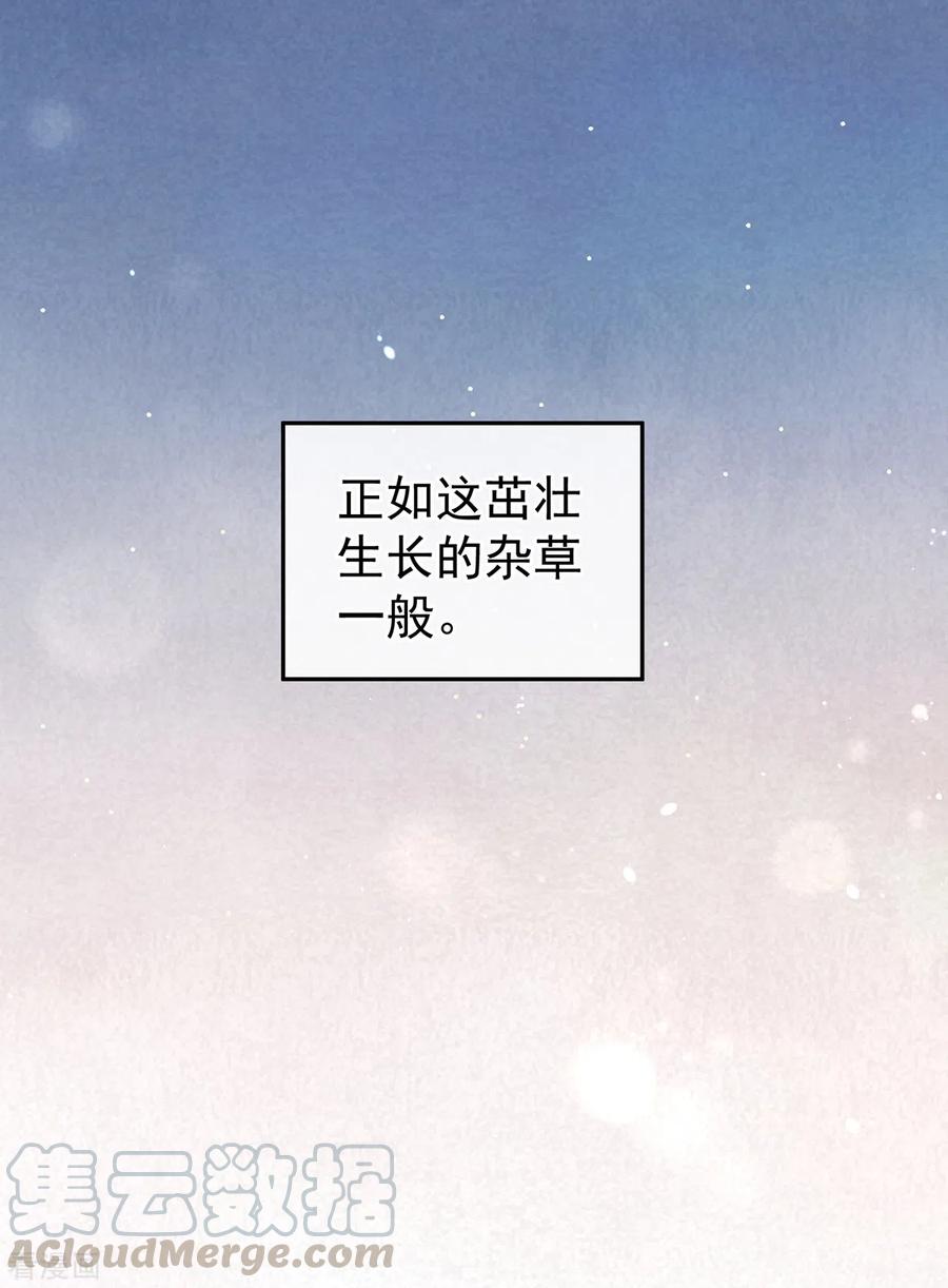 女帝的后宫免费阅读下拉式6漫画奇漫屋漫画,第250话 殓心入棺4图