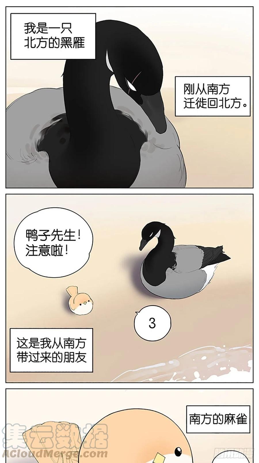 南方的鸟和北方的鸟合集漫画,沙滩上的鸟，夏天啦！1图