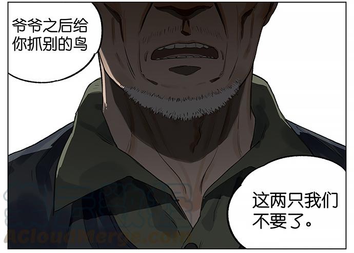 南方的鸟和北方的鸟治愈系漫画漫画,我陪你。5图