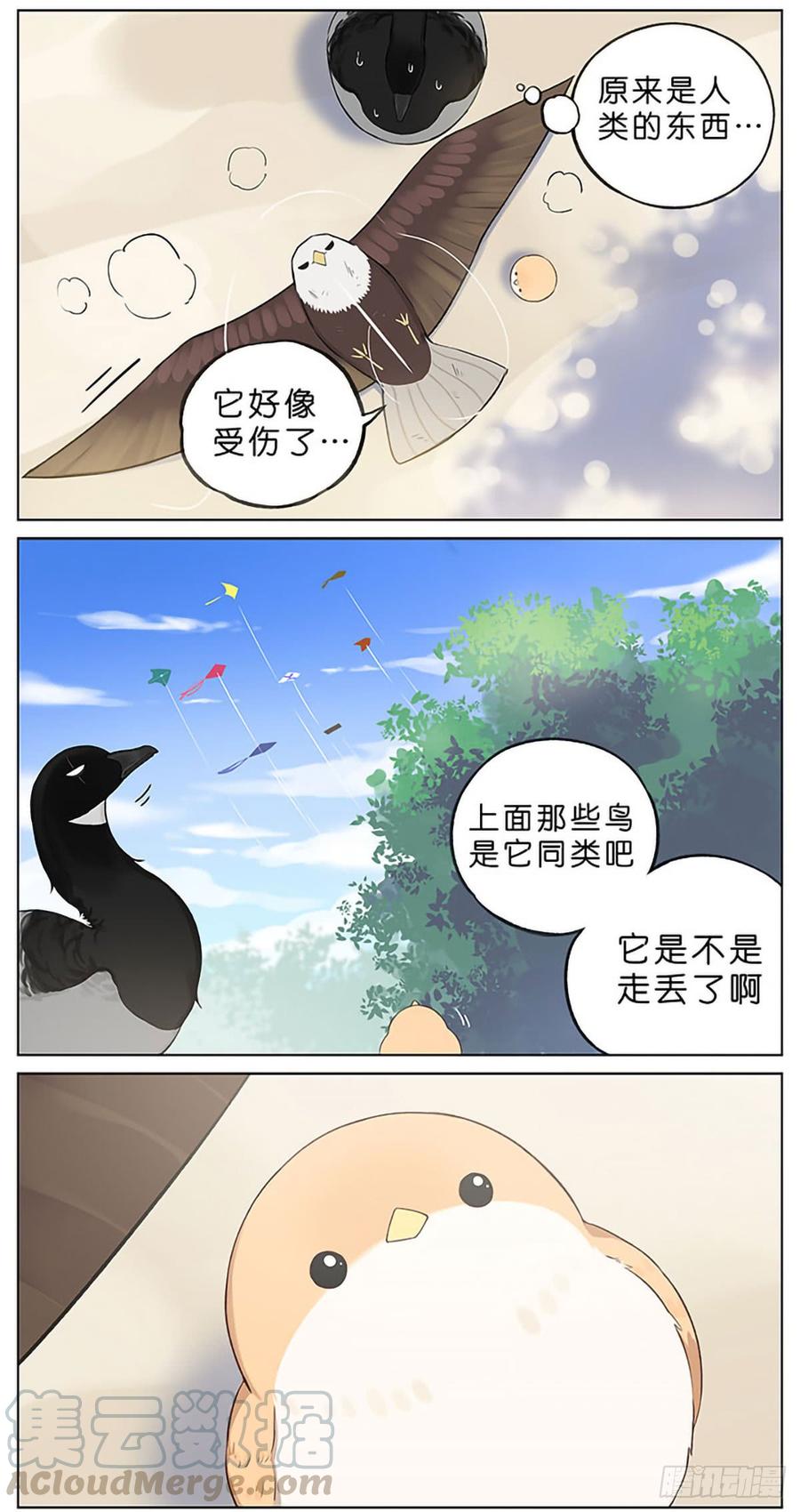 南方的鸟和北方的鸟合集漫画,春天的风筝。3图