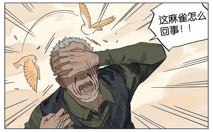 南方的鸟和北方的鸟治愈系漫画漫画,我陪你。2图