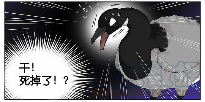 南方的鸟和北方的鸟壁纸漫画,等。3图