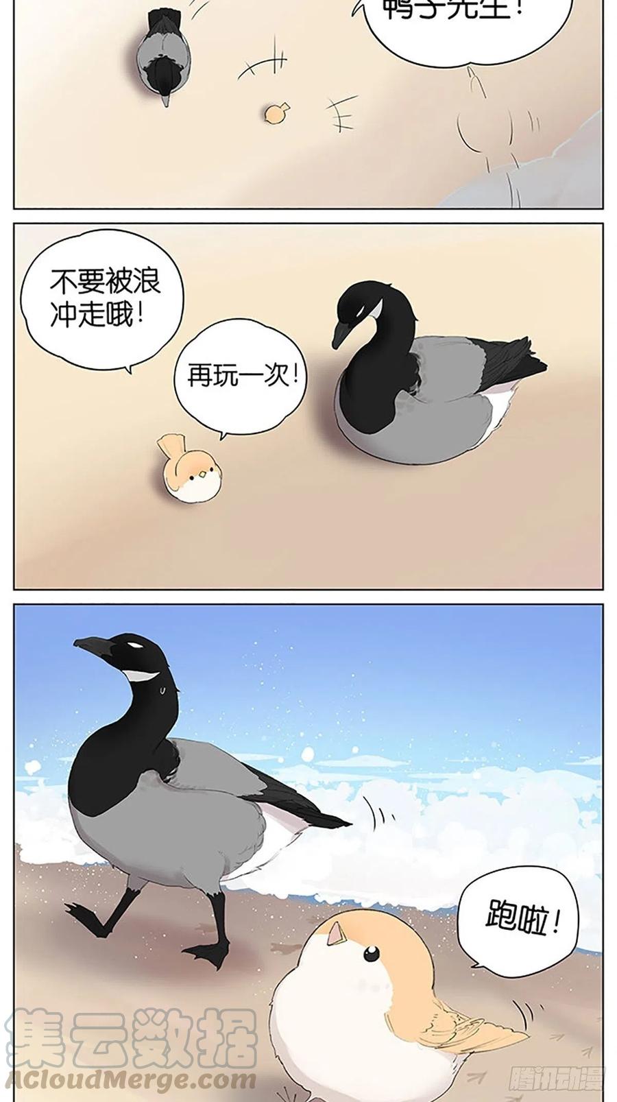 南方的鸟和北方的鸟合集漫画,沙滩上的鸟，夏天啦！3图