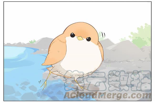 南方的鸟和北方的鸟结局漫画,游泳。5图