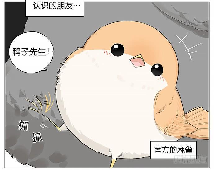 南方的鸟和北方的鸟壁纸漫画,人类好可爱。2图