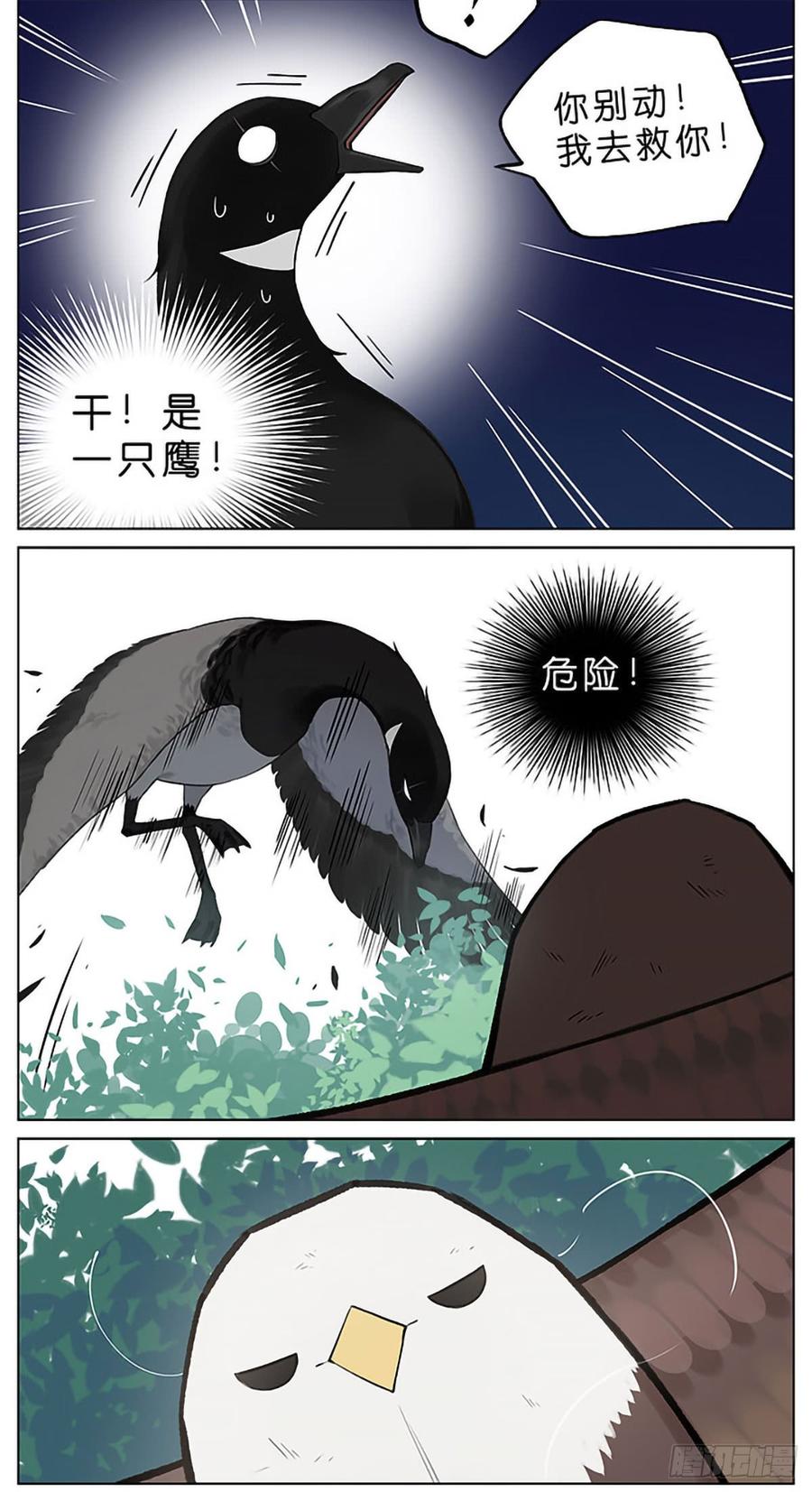 南方的鸟和北方的鸟合集漫画,春天的风筝。2图