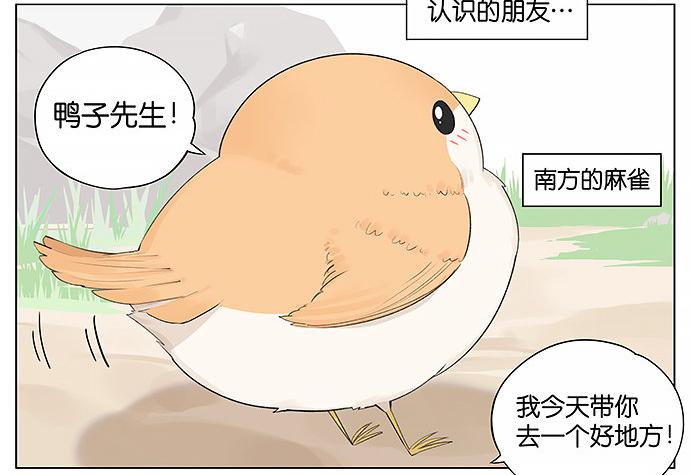 南方的鸟和北方的鸟在哪看漫画,带你去个好地方。2图