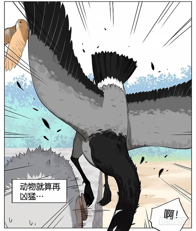 南方的鸟和北方的鸟结局漫画,天灾。4图