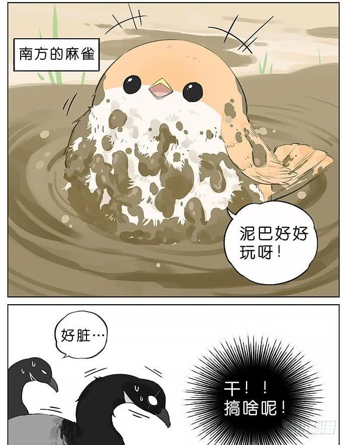 南方的鸟和北方的鸟结局漫画,玩泥巴的鸟。2图