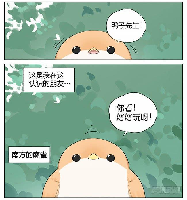 南方的鸟和北方的鸟从哪看漫画,刮风。2图