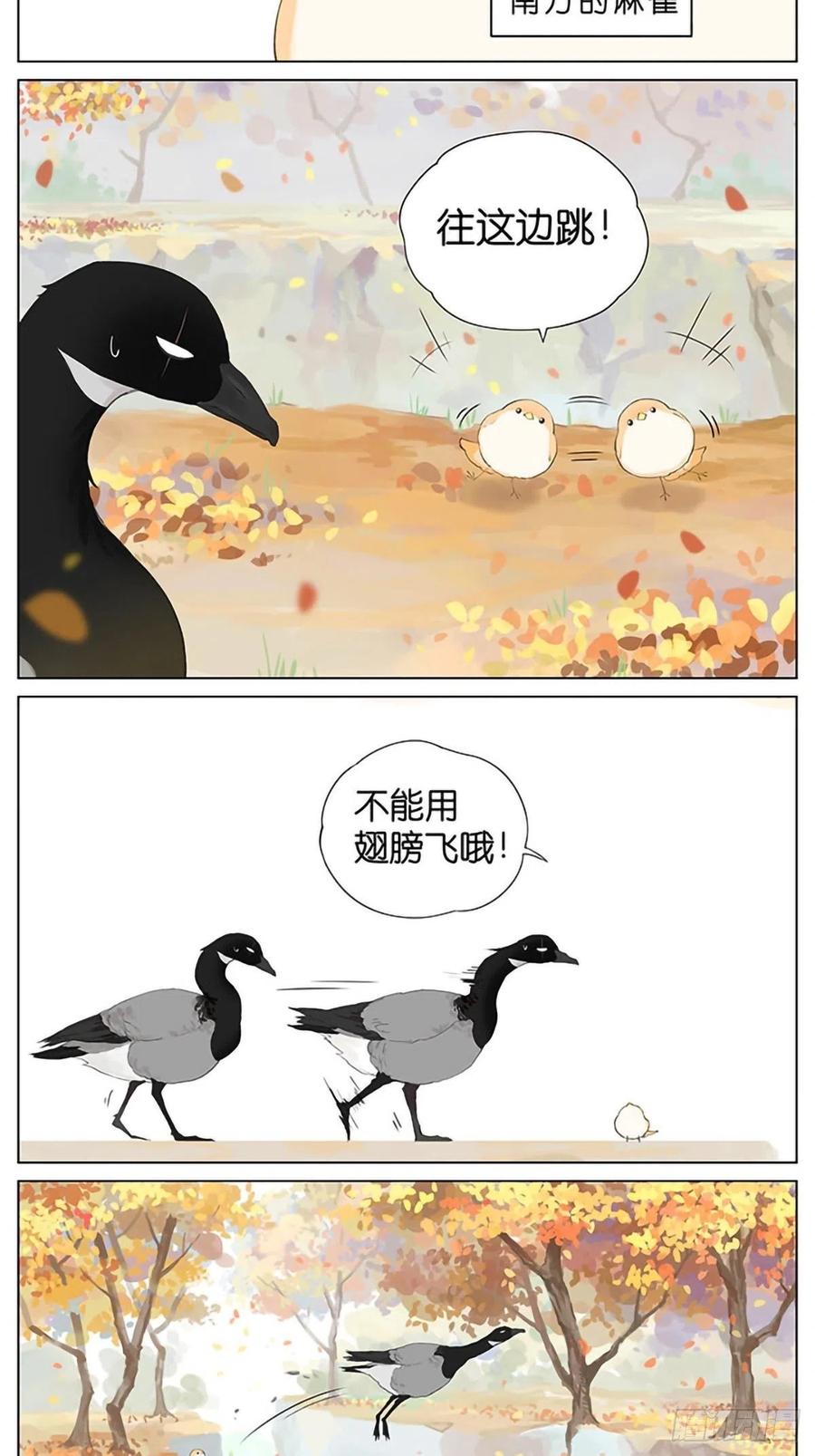 南方的鸟和北方的鸟壁纸漫画,秋天的鸟。2图