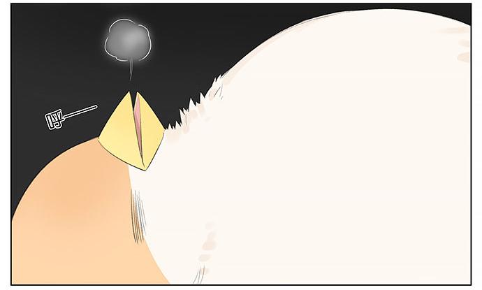 南方的鸟和北方的鸟壁纸漫画,等。4图