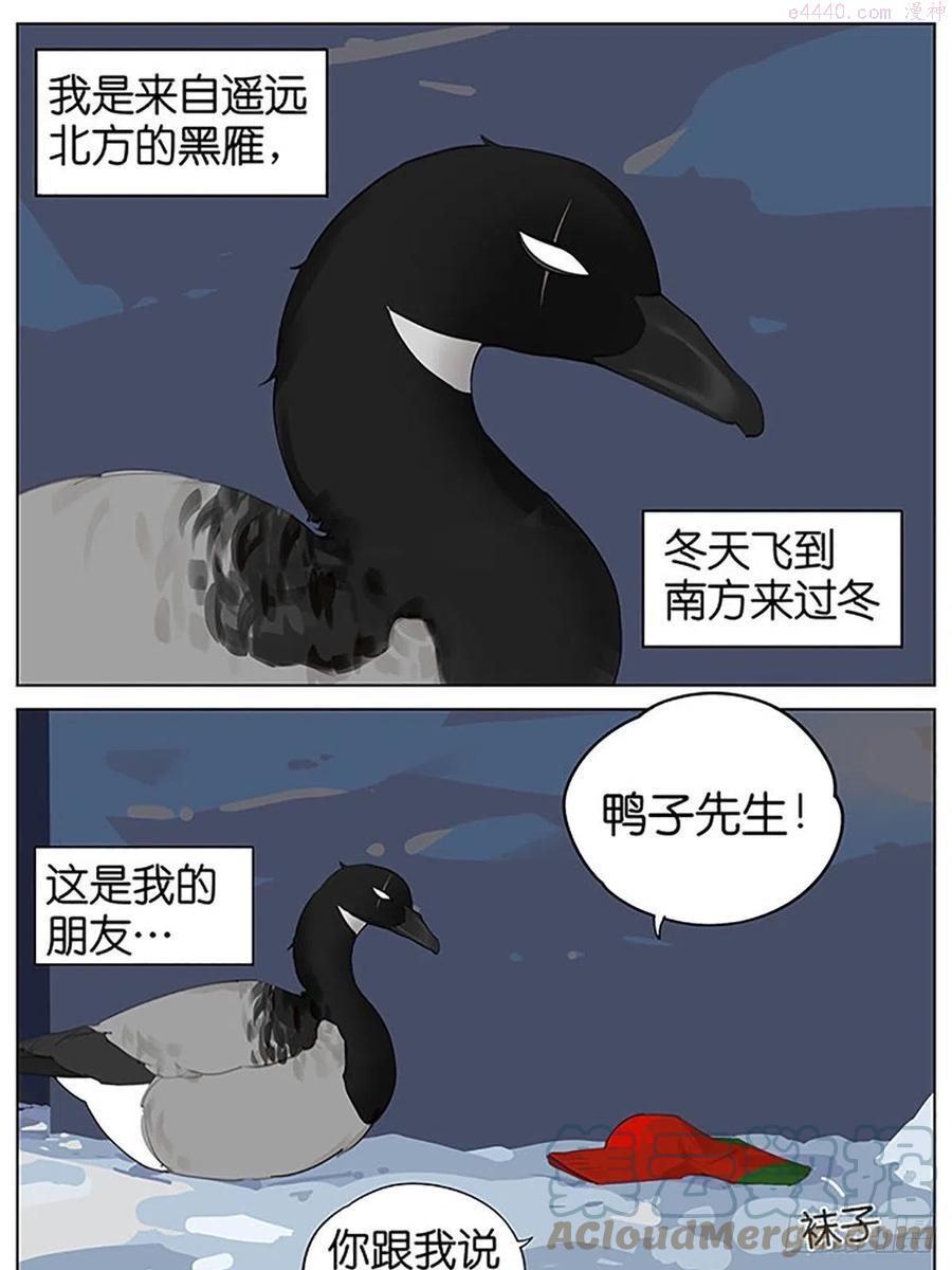 南方的鸟和北方的鸟合集漫画,圣诞老人和鸟1图