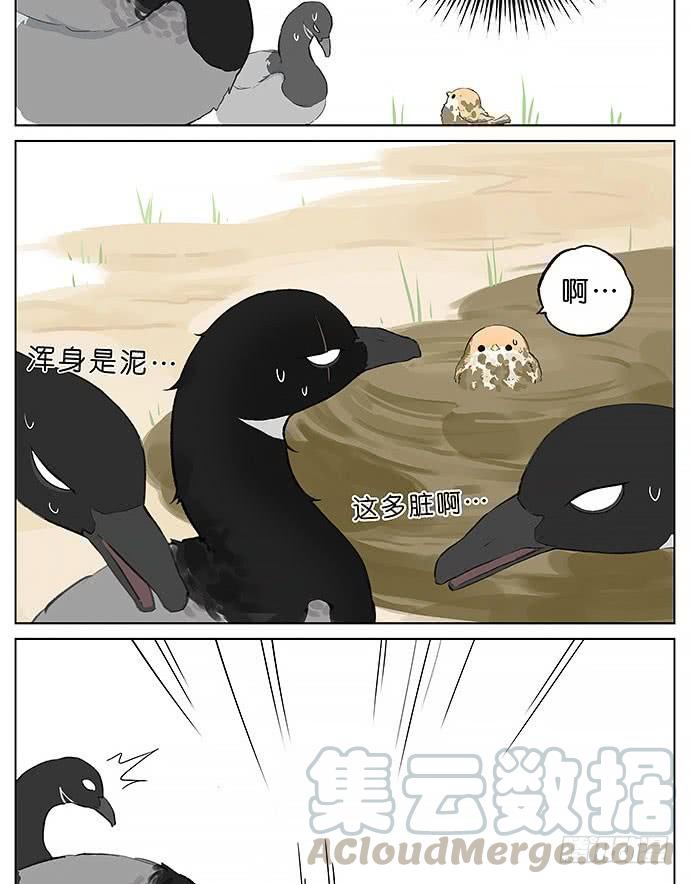 南方的鸟和北方的鸟结局漫画,玩泥巴的鸟。3图