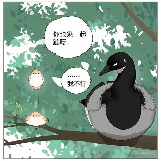 南方的鸟和北方的鸟从哪看漫画,刮风。3图