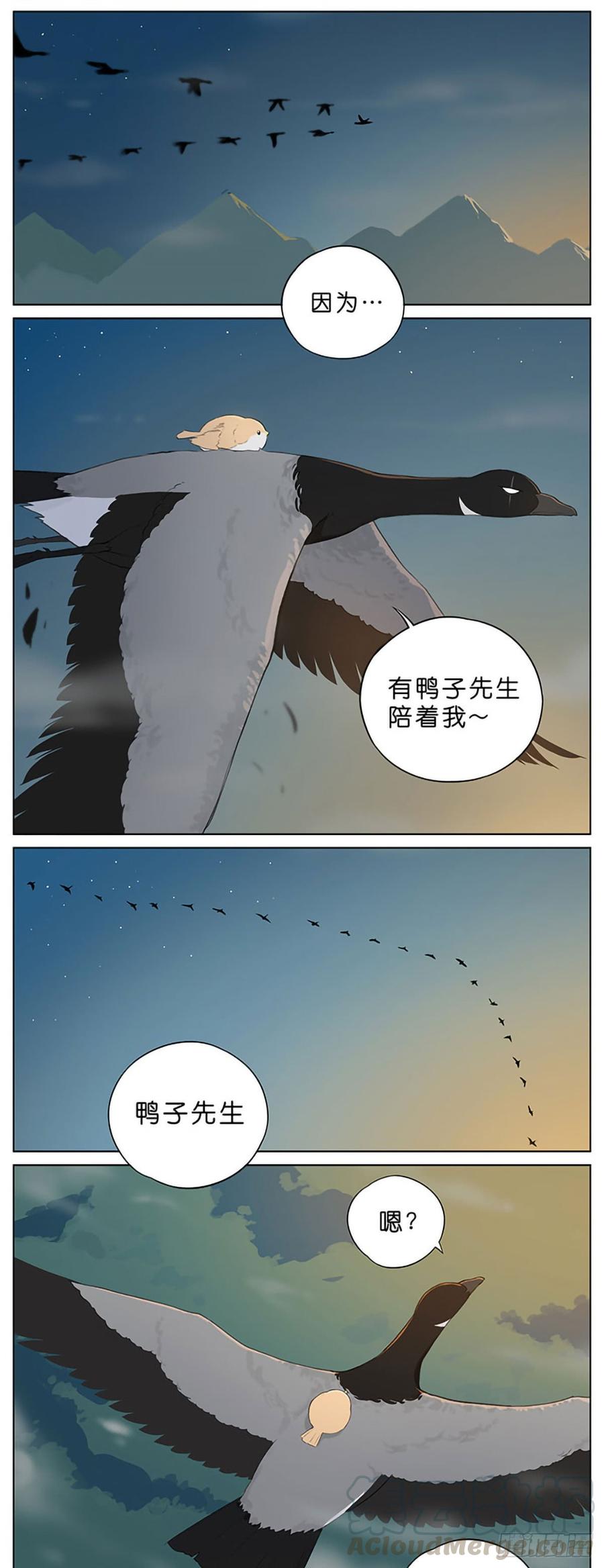 南方的鸟和北方的鸟合集漫画,冬天过去了。3图