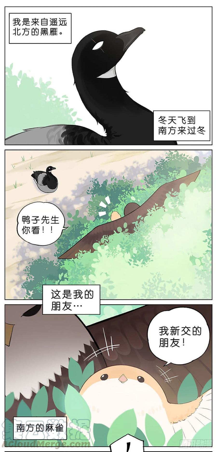 南方的鸟和北方的鸟合集漫画,春天的风筝。1图