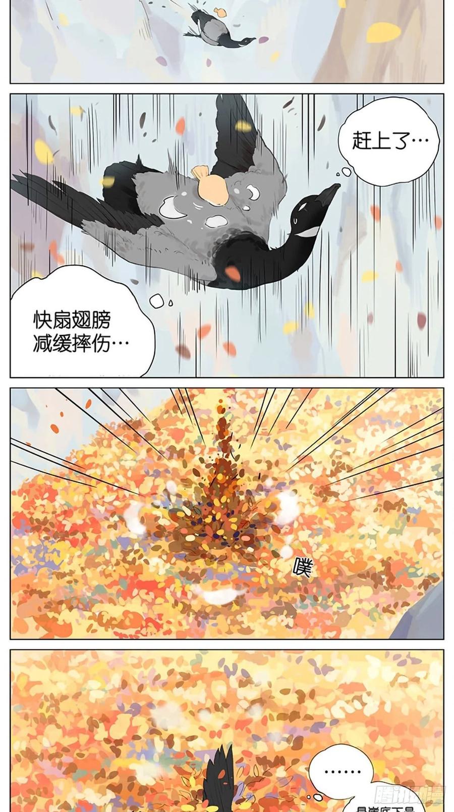 南方的鸟和北方的鸟壁纸漫画,秋天的鸟。5图