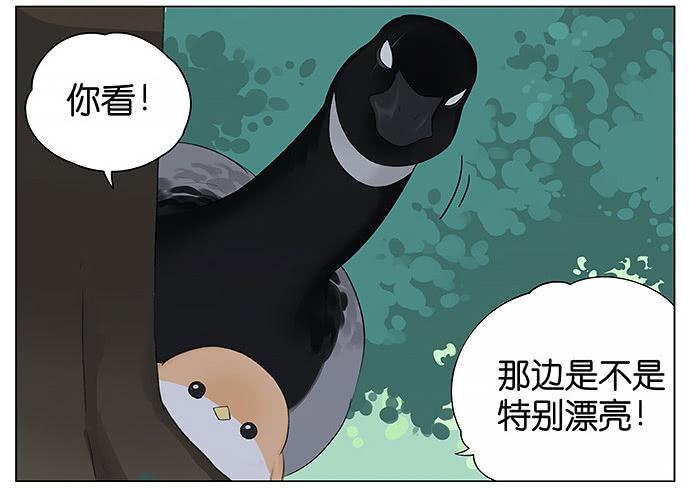 南方的鸟和北方的鸟在哪看漫画,带你去个好地方。4图