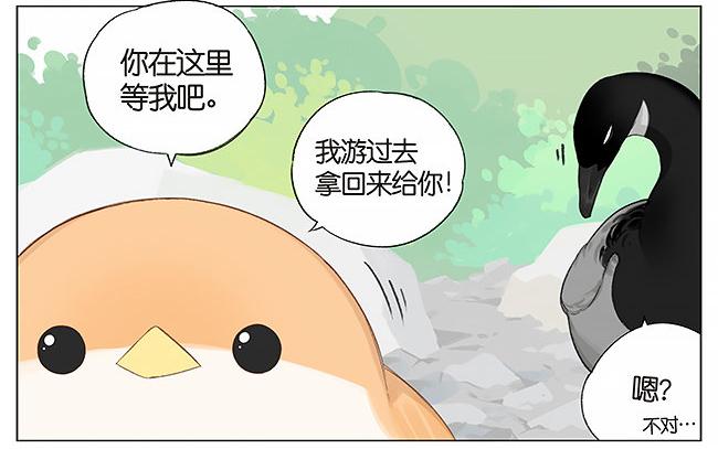 南方的鸟和北方的鸟结局漫画,游泳。4图