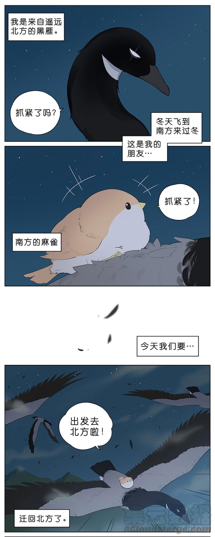 南方的鸟和北方的鸟合集漫画,冬天过去了。1图