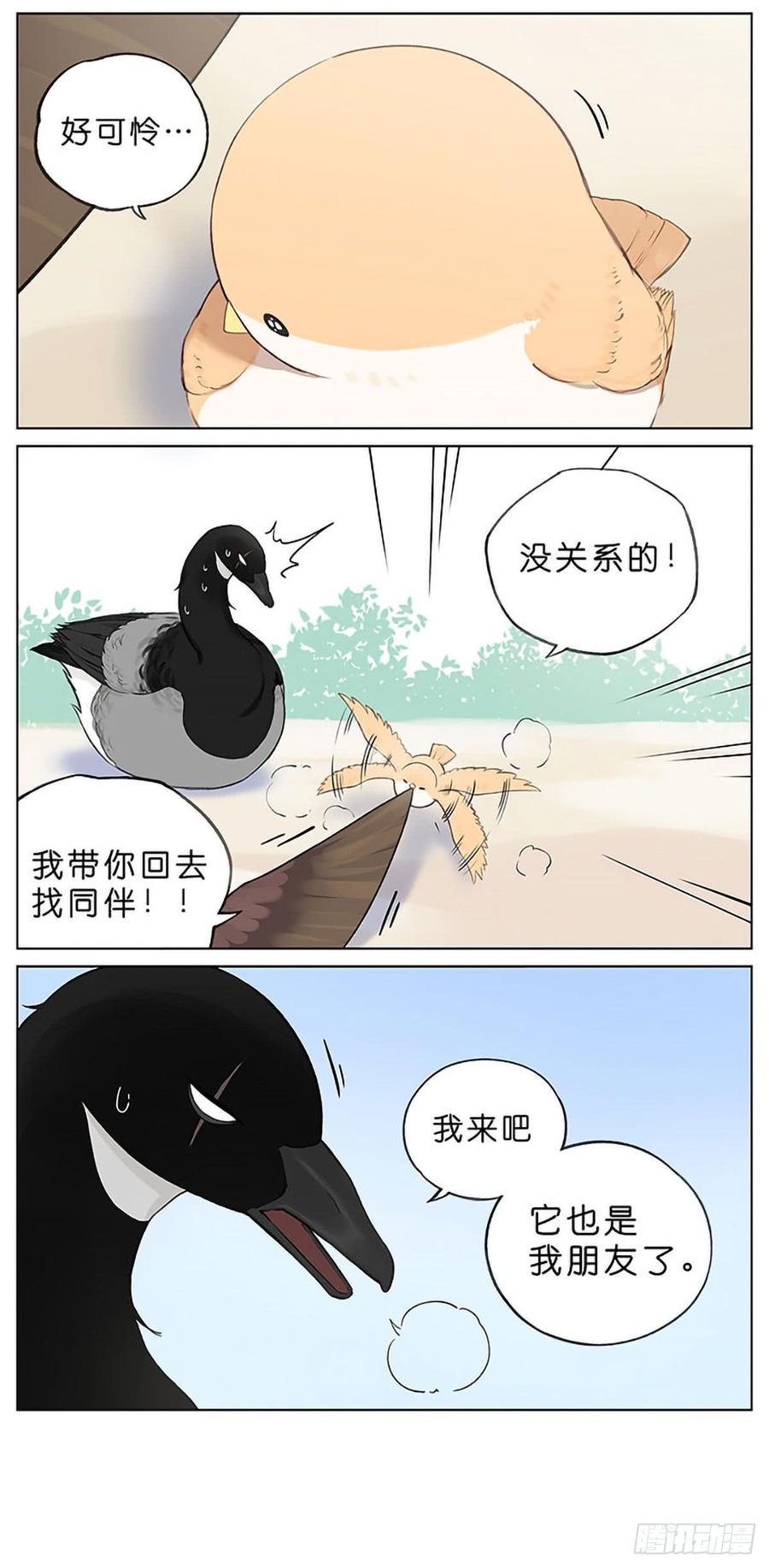 南方的鸟和北方的鸟合集漫画,春天的风筝。4图