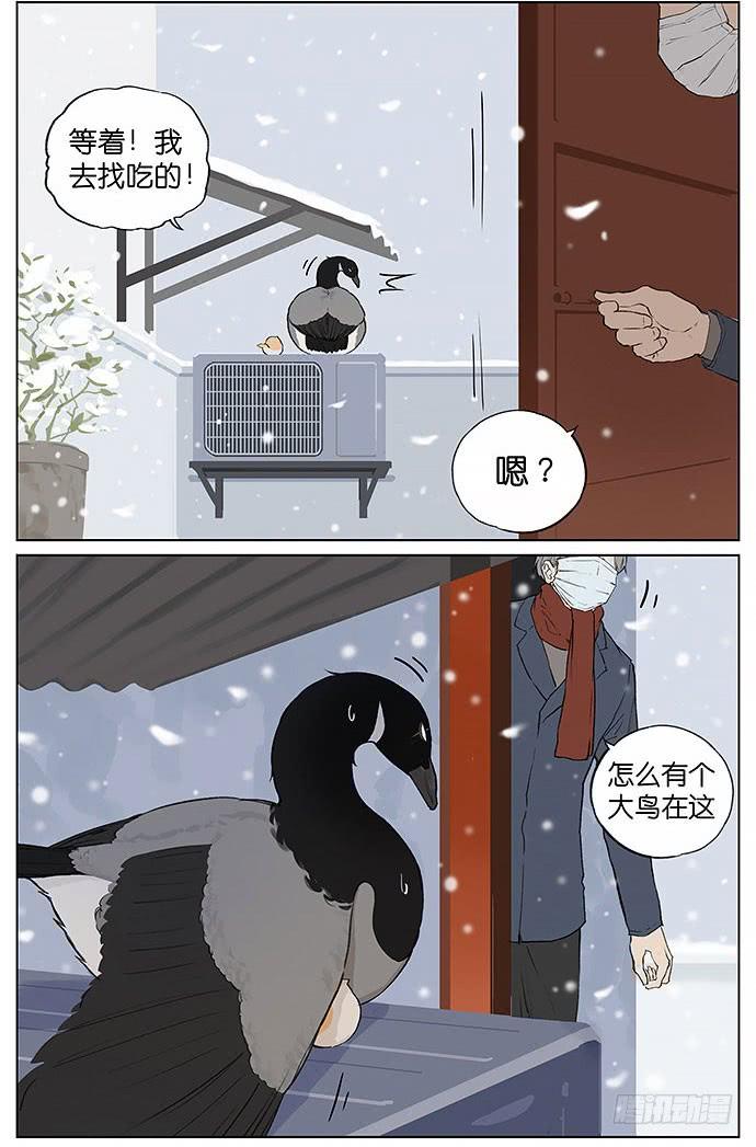 南方的鸟和北方的鸟治愈系漫画漫画,暴风雪。4图