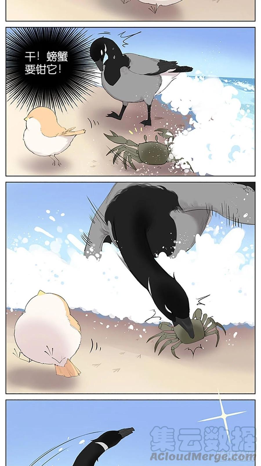 南方的鸟和北方的鸟合集漫画,沙滩上的鸟，夏天啦！4图