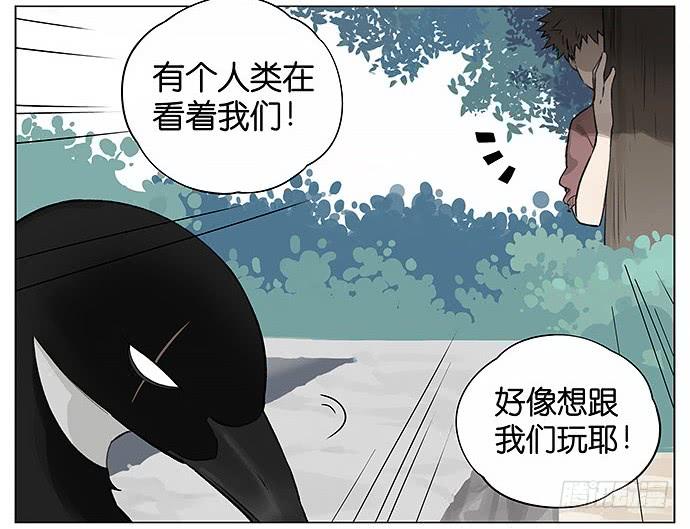 南方的鸟和北方的鸟壁纸漫画,人类好可爱。4图