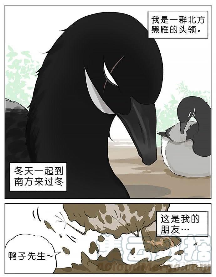 南方的鸟和北方的鸟结局漫画,玩泥巴的鸟。1图