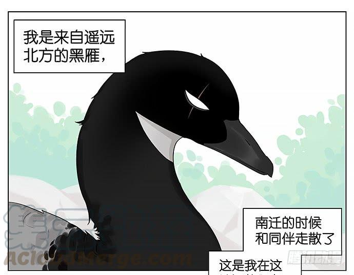 南方的鸟和北方的鸟在哪看漫画,带你去个好地方。1图