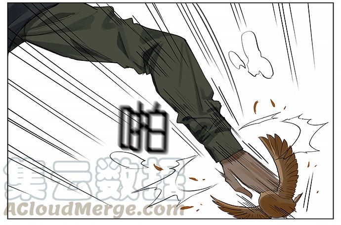 南方的鸟和北方的鸟治愈系漫画漫画,我陪你。3图