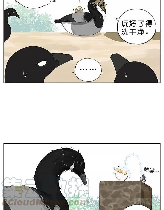 南方的鸟和北方的鸟结局漫画,玩泥巴的鸟。5图