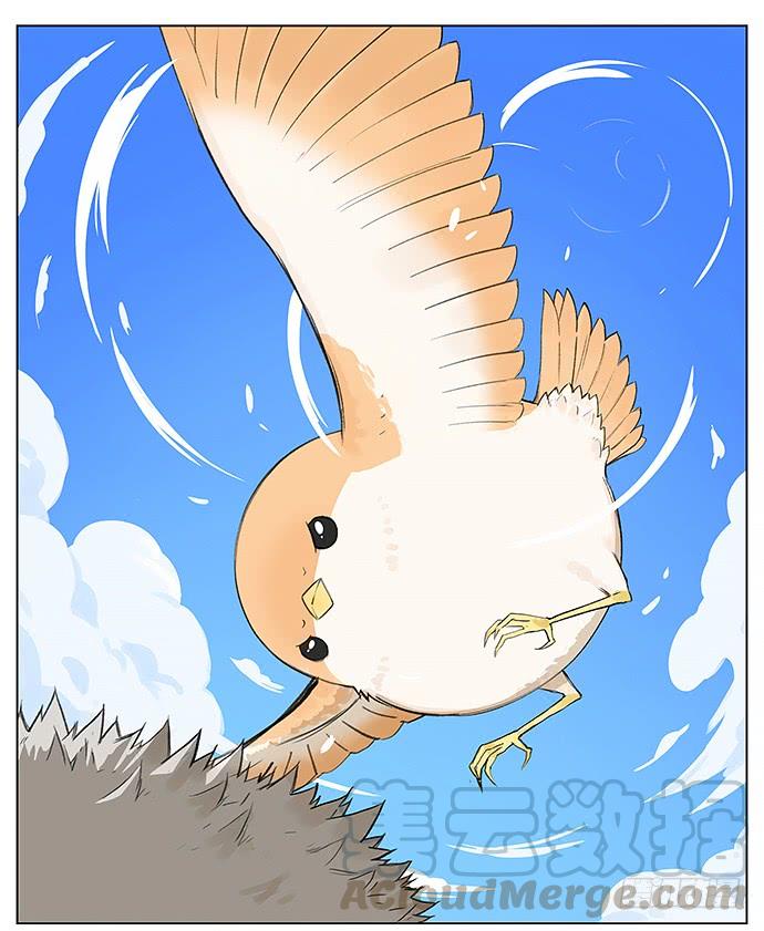南方的鸟和北方的鸟治愈系漫画漫画,我陪你。1图
