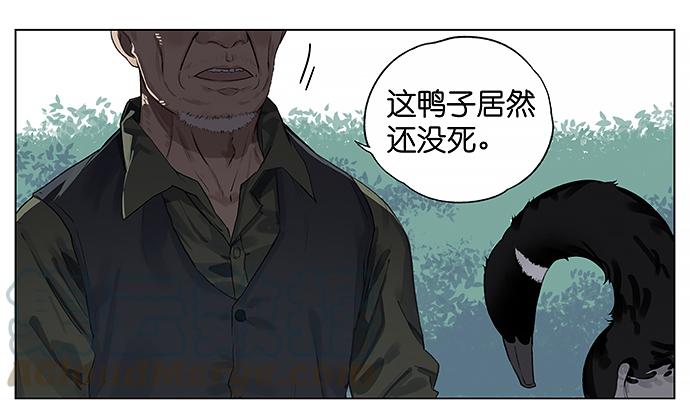 南方的鸟和北方的鸟结局漫画,天灾。1图