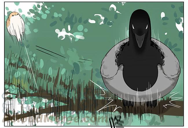 南方的鸟和北方的鸟从哪看漫画,刮风。5图