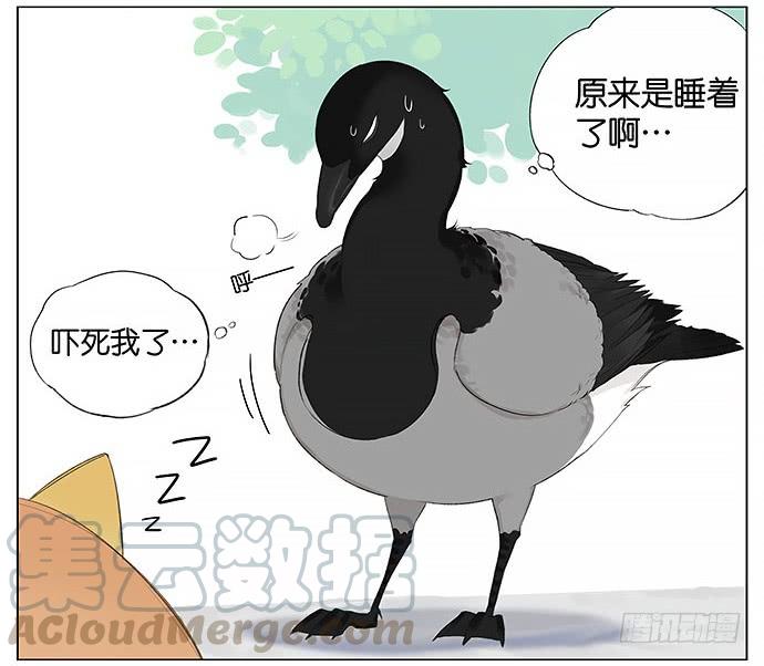 南方的鸟和北方的鸟壁纸漫画,等。5图