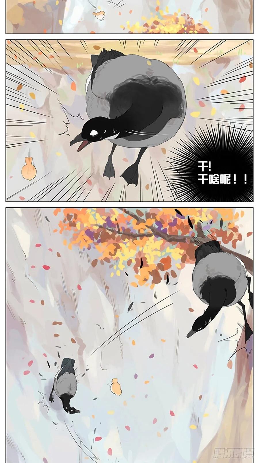 南方的鸟和北方的鸟壁纸漫画,秋天的鸟。4图
